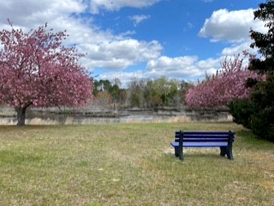 park bench